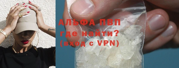 сатива Арсеньев