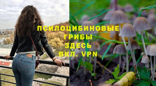 дмт Кулебаки