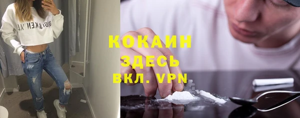 сатива Арсеньев