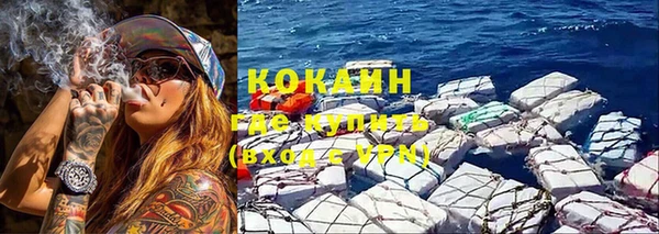 сатива Арсеньев
