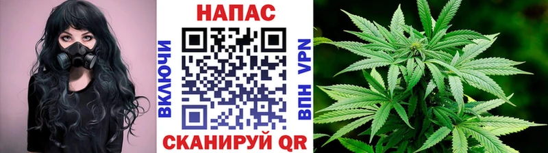 МАРИХУАНА планчик Янаул